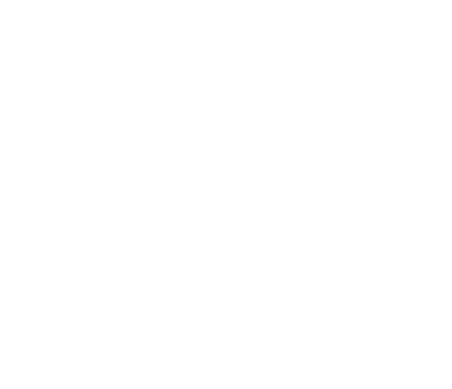 Логотип (светлый)